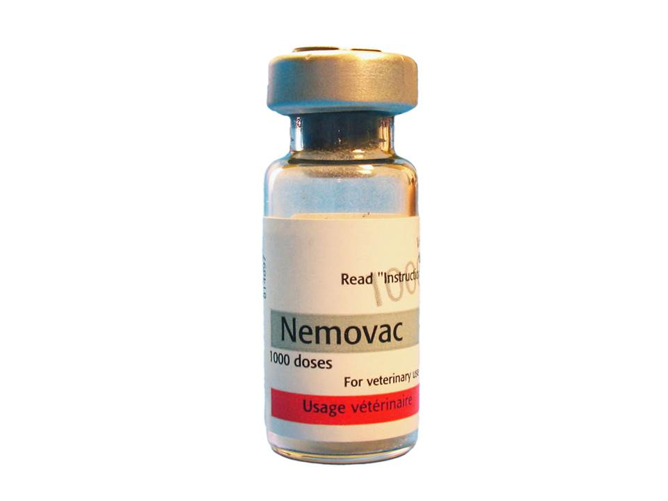 NEMOVAC
